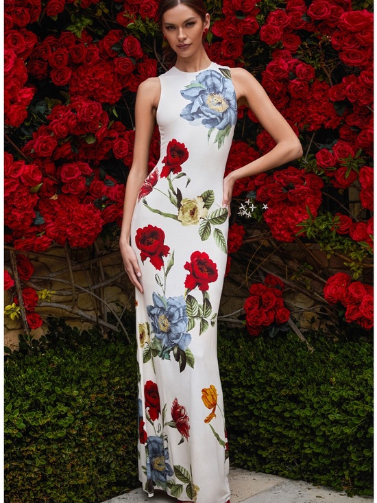 Alice + Olivia Dresses & Skirts - NWT Alice + Olivia Delora Open Back Maxi Dress Size 6